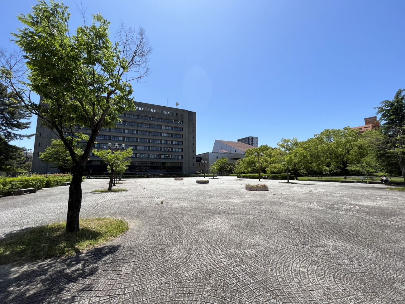 お城前公園に飲食楽しむ人出 津の大門・丸之内でにぎわい創出実験：中日新聞Web