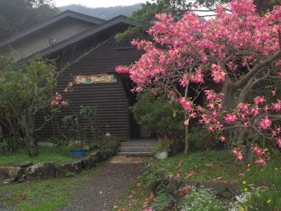 ゲストハウス奄美ルリカケス奄美旅