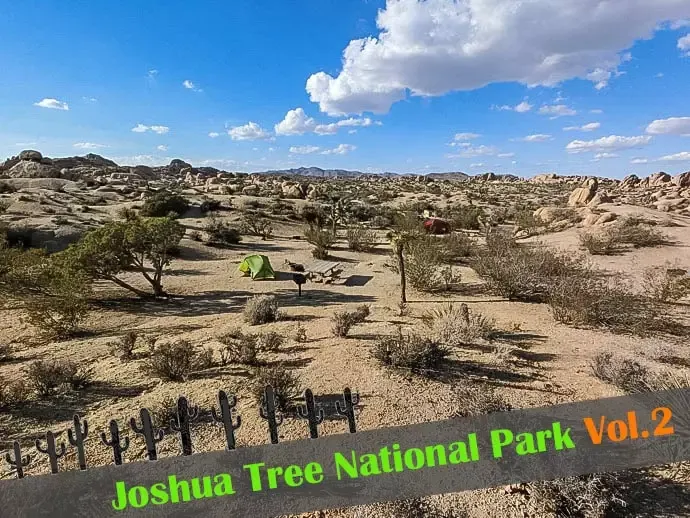 TRAVEL②：Joshua Tree National Park ~ジョシュアツリー国立公園