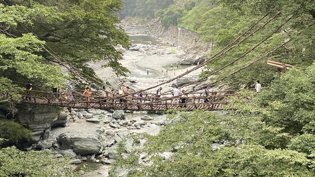 祖谷のかずら橋観光ガイド2025絶景・スリル・伝承が交差する日本三奇橋の旅 - 週末はじめました