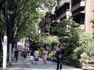 渋谷 歩道橋 撮影