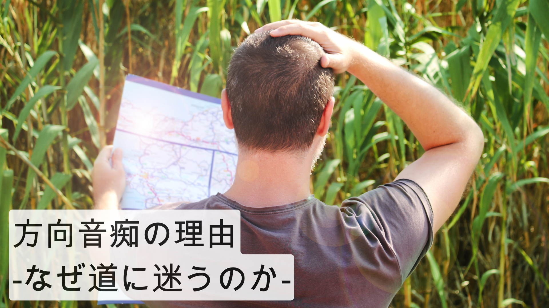 道に迷った」って英語でなんて言う？迷子になった時に使えるフレーズ - ネイティブキャンプ英会話ブログ英会話の豆知識や情報満載