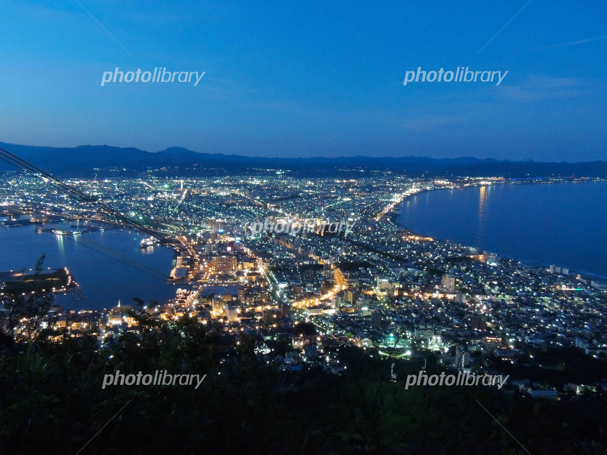 コナンと桜と、雨に霞んだ100万ドルの夜景。函館で見つけた、静かな感動イーサンアンドコー 贈る人と贈られる人に寄り添うやさしいギフトブランド