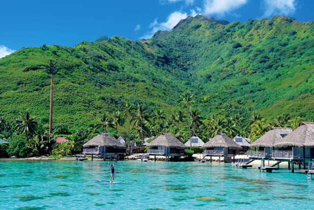 タヒチ島発 モーレア島日帰りツアー シャーク＆エイウォッチングとモツピクニック