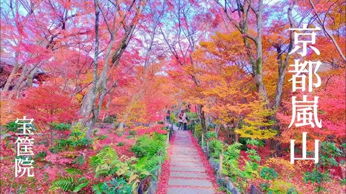地図・アクセス - 宝筐院の紅葉 京都府紅葉名所2025
