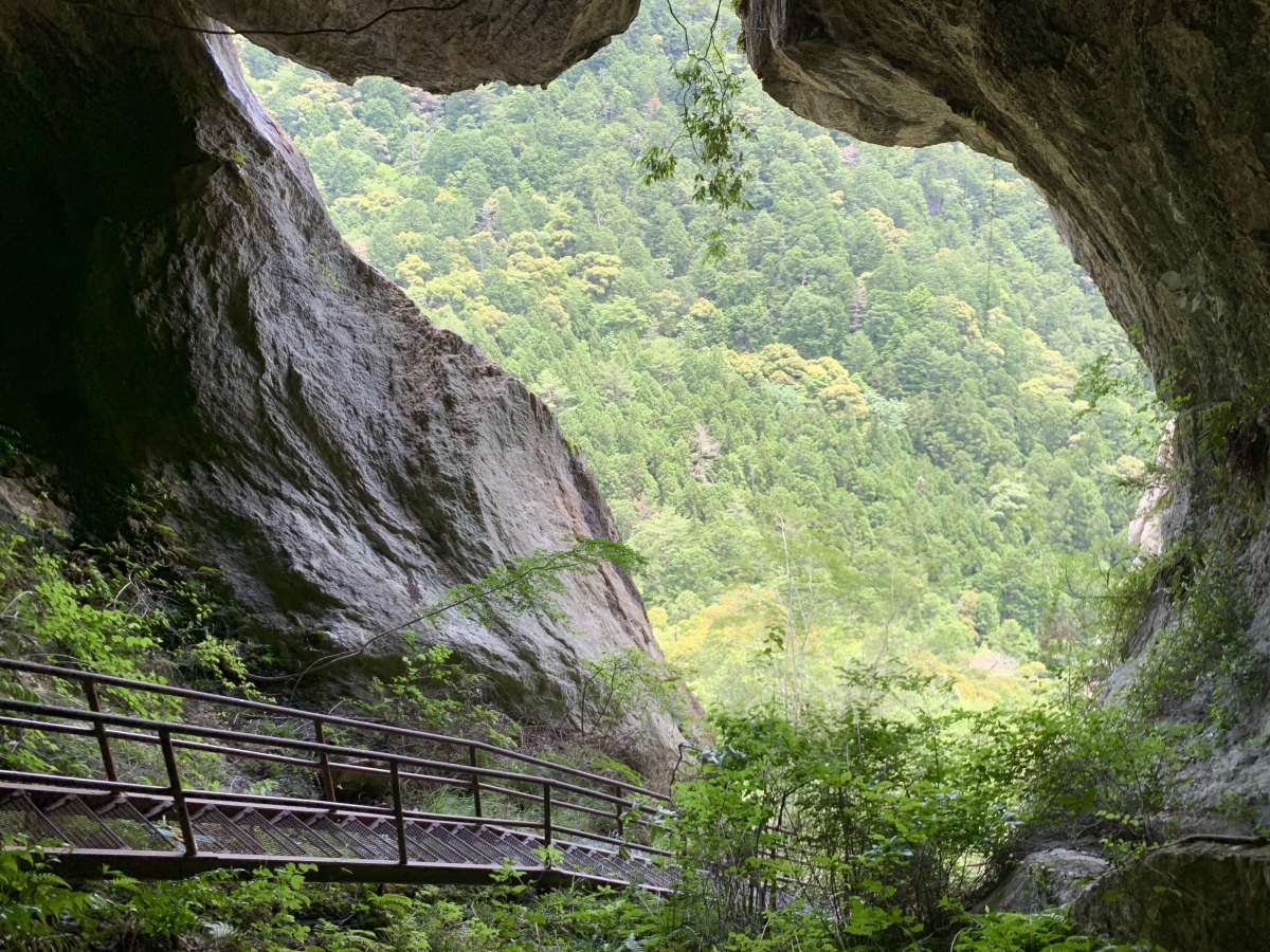 愛知県の鍾乳洞を訪れる理由とおすすめスポット2025 年のリアルなLemon8ユーザー体験