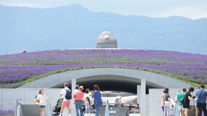 頭大仏殿のおすすめ観光スポット2025年 10月更新Trip Moments