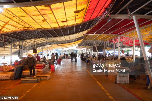 チリ南部 バルディビア2泊3日 2017年12月 』その他の都市 チリ