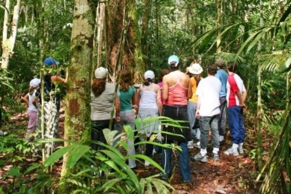 Amazon.co.jp: ジャングル・クルーズ吹替版 を観るPrime Video