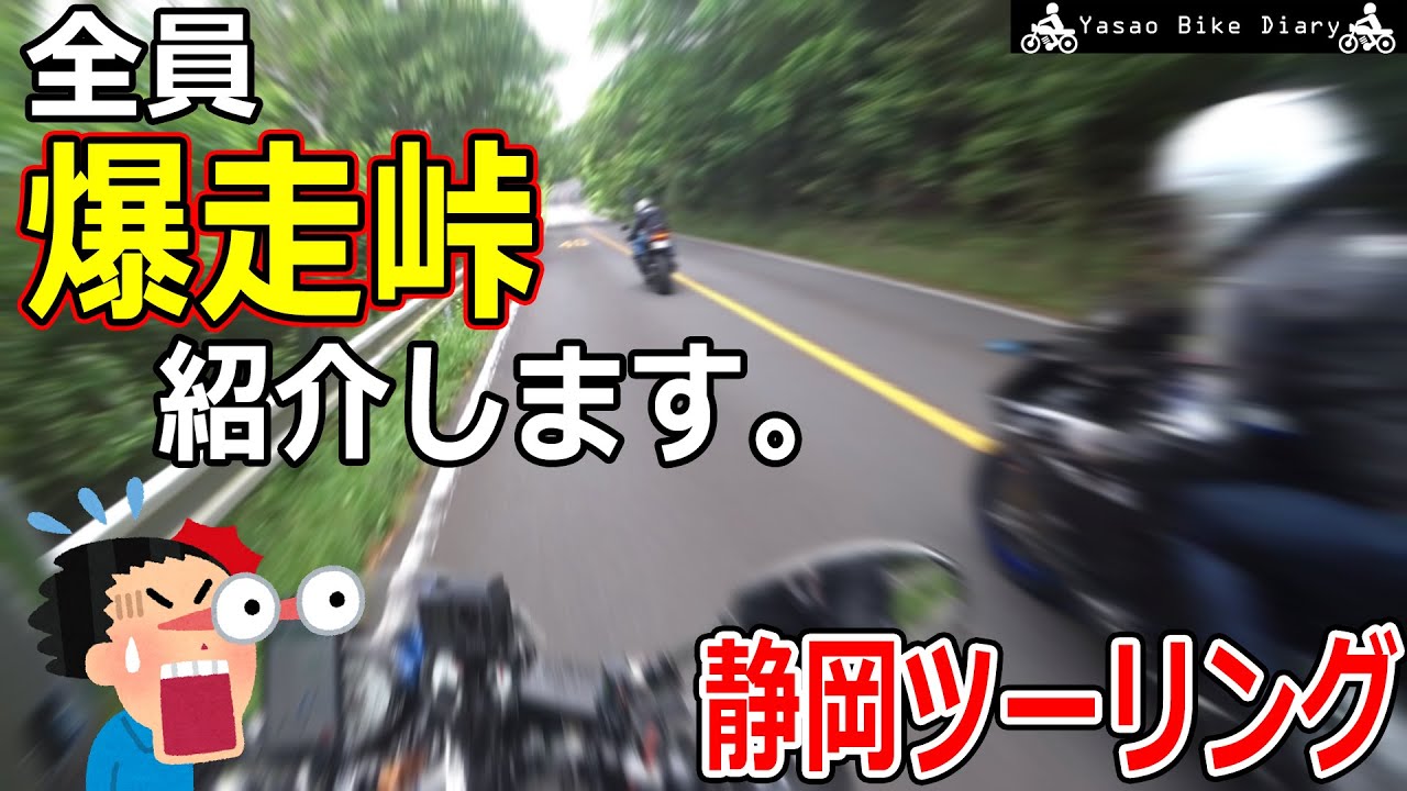 走り初め 日本平パークウェイ: 野郎の楽しみ