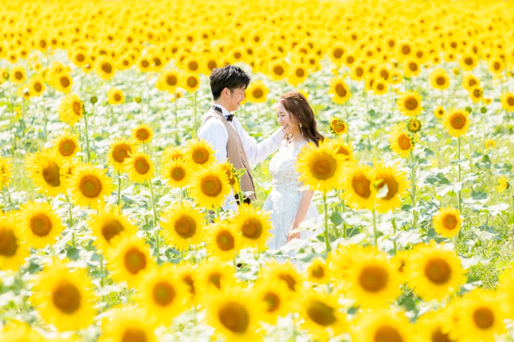 柳川ひまわり園の口コミ塩塚 - TRIPROUD