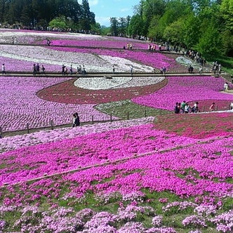駅情報 – 御花畑