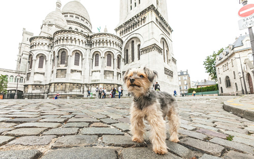 パリ ブルージュ ブリュッセル 7日間