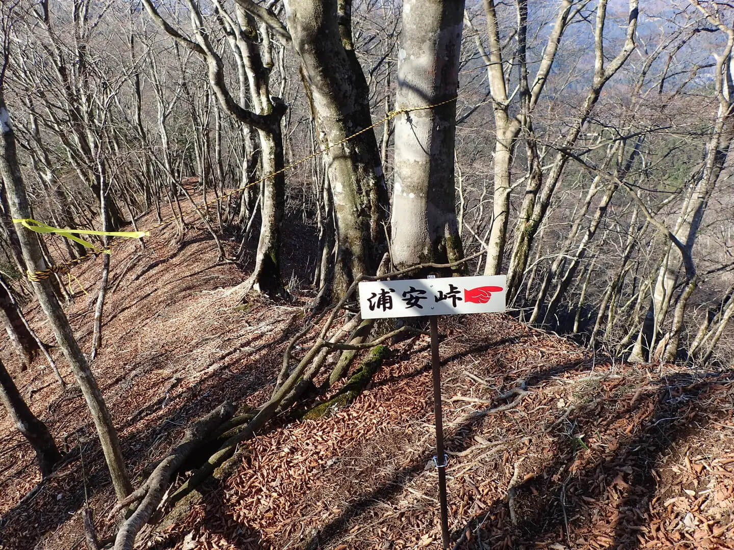 進む道に迷うビジネスマンのイラスト素材196147403 毎月1点無料 フリー のストックフォト イメージマート