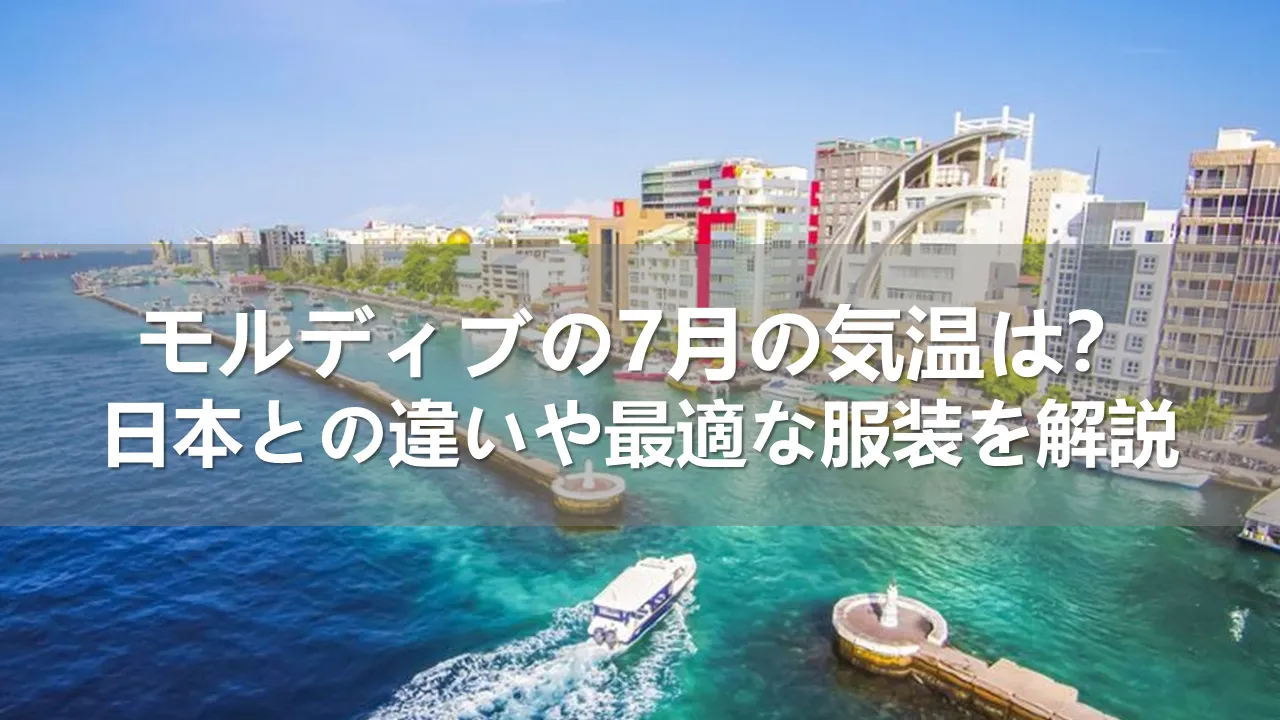 モルディブの海の中☆アミラフシでシュノーケル 初心者でも大満足! - ときめきライツを探して