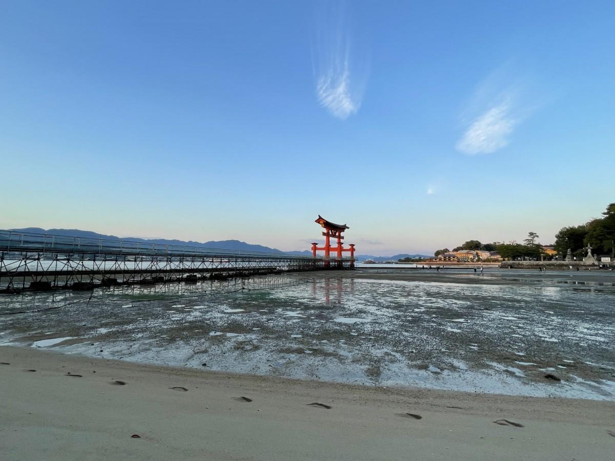 厳島神社修復工事中の大鳥居の写真・画像素材-Snapmart スナップマート