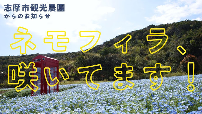 一面を彩る青の世界志摩市観光農園「ネモフィラ」鑑賞×食のテーマパーク「VISON」へ！かな～りお得な食べ歩きクーポン付き×日本最大のパワースポット「伊勢神宮 内宮 」参拝＆「おかげ横丁」散策♪関西発・大阪発