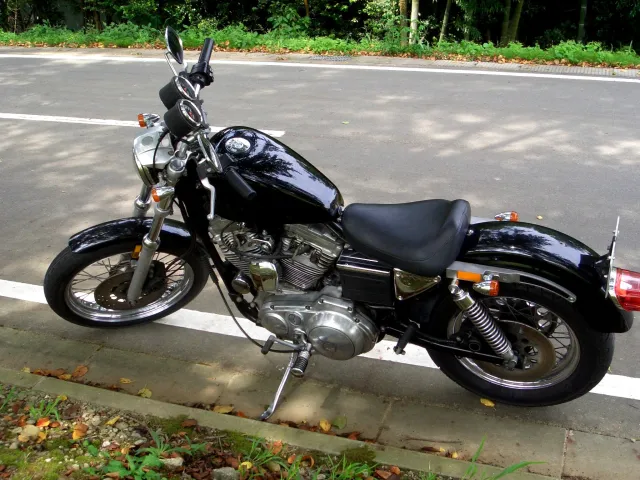 海沿いを走るとクルマは錆びる？ 愛車を塩害から守るための対策とはくるまのニュース