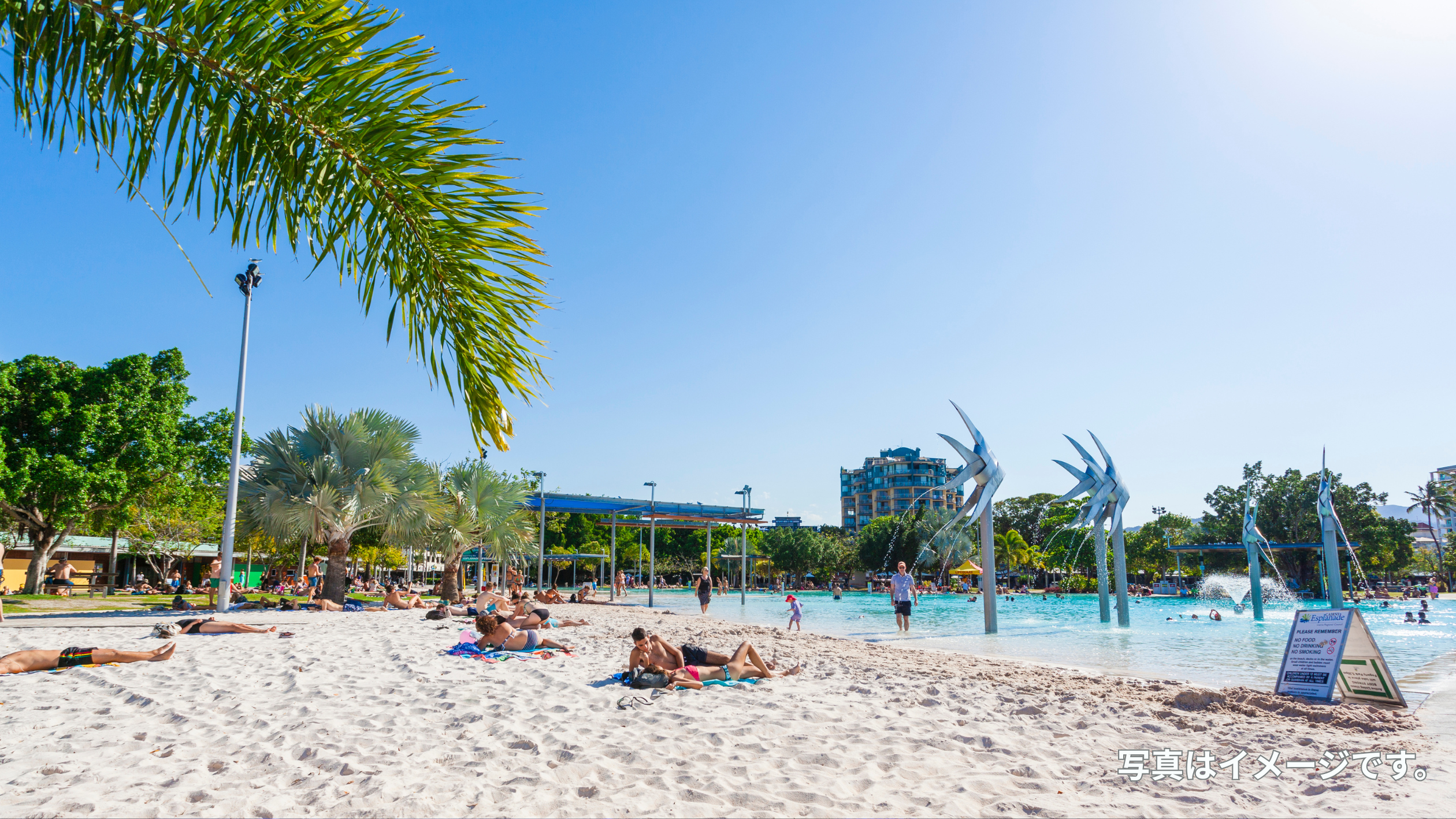 オーストラリア自然と街を楽しむ！ケアンズ＋シドニー旅5泊7日