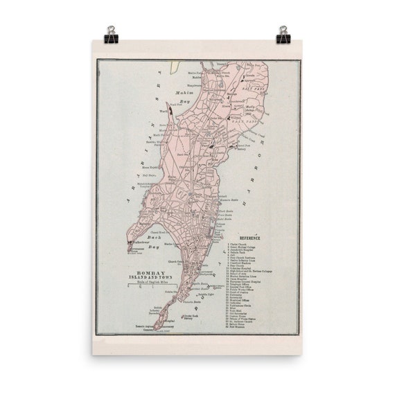 ムンバイ「エレファンタ島観光」で感じた濃厚なインド藻谷浩介の世界「来た・見た・考えた」藻谷浩介毎日新聞「経済プレミア」