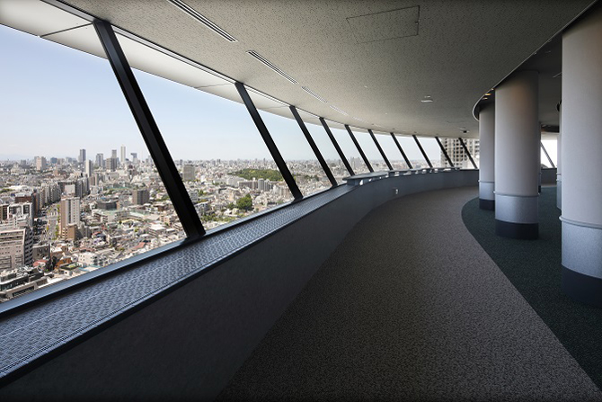 外国人観光客におすすめしたい、お台場の穴場スポットとは？クルージングナビ貸切クルージングなら東京湾アニバーサリークルーズ