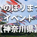 神奈川県平塚市「鈴川鯉のぼりまつり」でマンチェスター・シティの鯉のぼりが泳ぐ！ - スポーツナビ