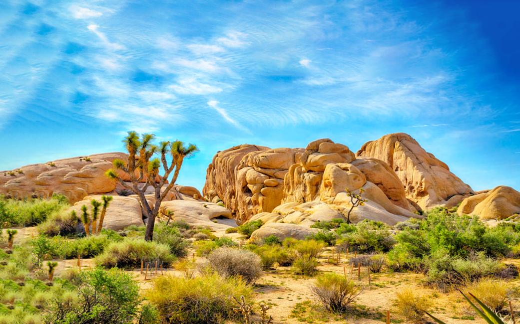 Indian Cove Campgroundでキャンプ