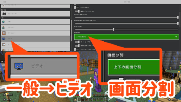 スイッチ マインクラフトを2人プレイ 画面分割