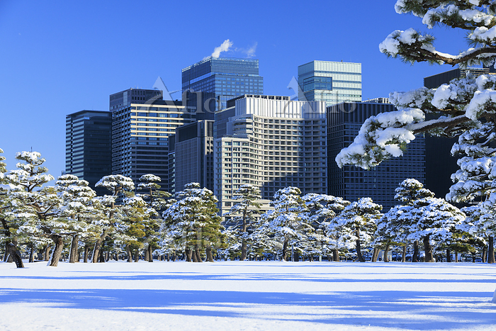 憧れの「リトル東京」、展開図から作る都市模型 : 読売新聞