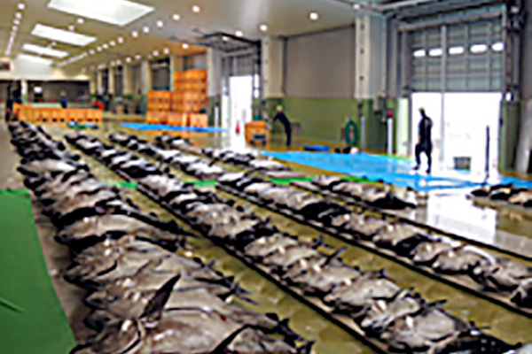 生まれ故郷・銚子へのＵターンで手に入れた心のゆとり公式 千葉県移住・二地域居住ポータルサイト