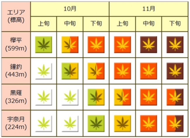 トロッコ電車🚃沿線の紅葉は、所々落葉が見られますが、ご覧のようなステキな風景がお楽しみいただけま〜す😊 お気に入りの一枚を撮ってみては📸🎶黒部峡谷トロッコ電車トロッコ電車紅葉風景紅葉が綺麗お気に入りステキな写真富山駅富山観光
