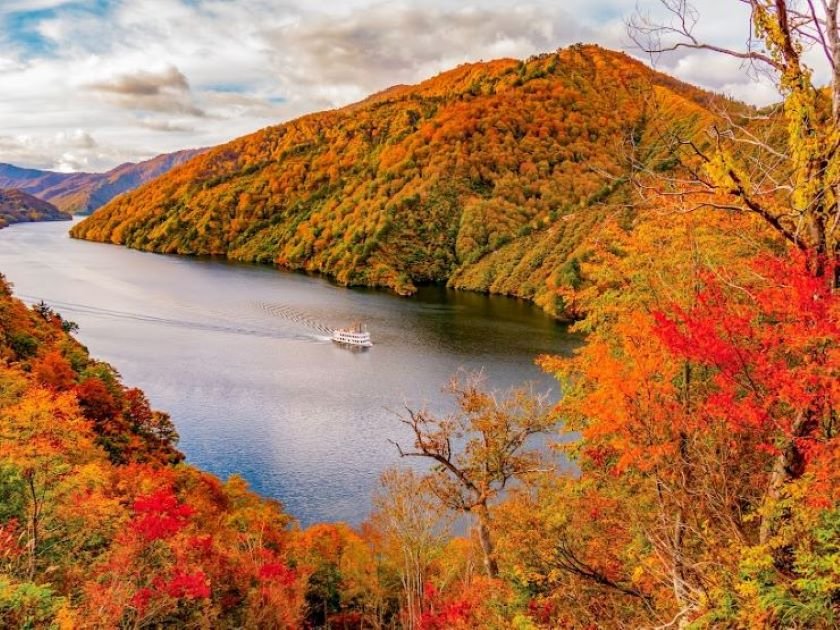 2025最新 長野県の紅葉名所21選！ドライブやロープウェイでの絶景も楽天トラベル