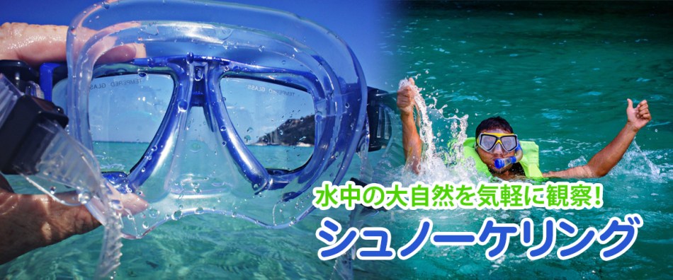 伊豆でシュノーケリングを満喫！初心者から上級者まで楽しめるおすすめスポット＆アクセスガイド - COLUMNIzu