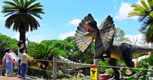 最新 伊東のおすすめ観光地18選！子どもも楽しめる人気スポットがいっぱい