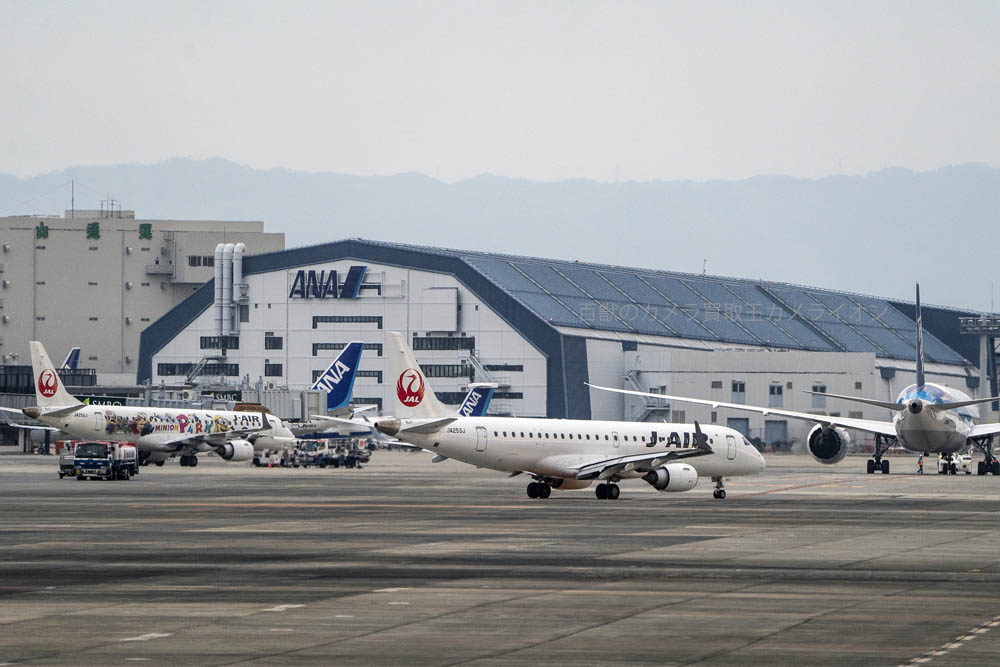 フォトスポット001 飛行機が頭上をかすめる千里川の土手で撮影！今日もカメラと生きちゃった