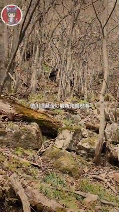 徳川埋蔵金のほこらに地下へ続く謎の階段の秘密！祠のネタバレ公開わたしアップデート