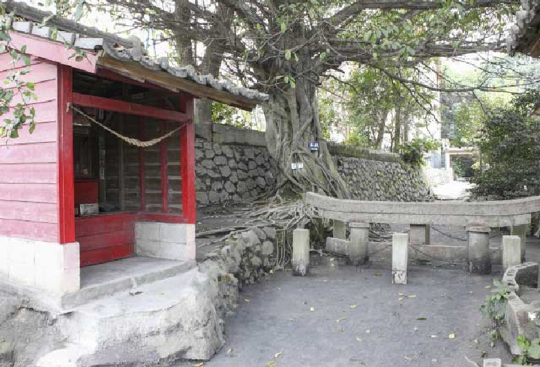 鹿児島 黒神埋没鳥居 - No: