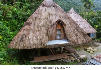 フィリッピンの日常生活、フィリピンで家を建てるという事についてパート2 総集編-1セブ島の田舎町だったモアルボアル ダイビングのメッカ