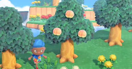 ぶおの誕生日とサンタのプレゼント事情