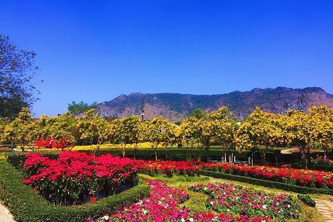カオヤイ国立公園にツアー使わず個人でバンコクからパクチョンを経由し日帰り観光！ - Golden
