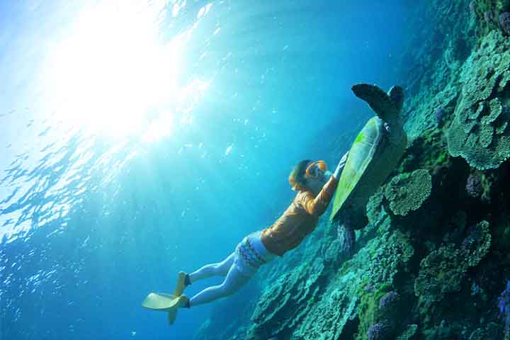 伊豆のシュノーケリングスポット伊豆の海水浴場とビーチガイド