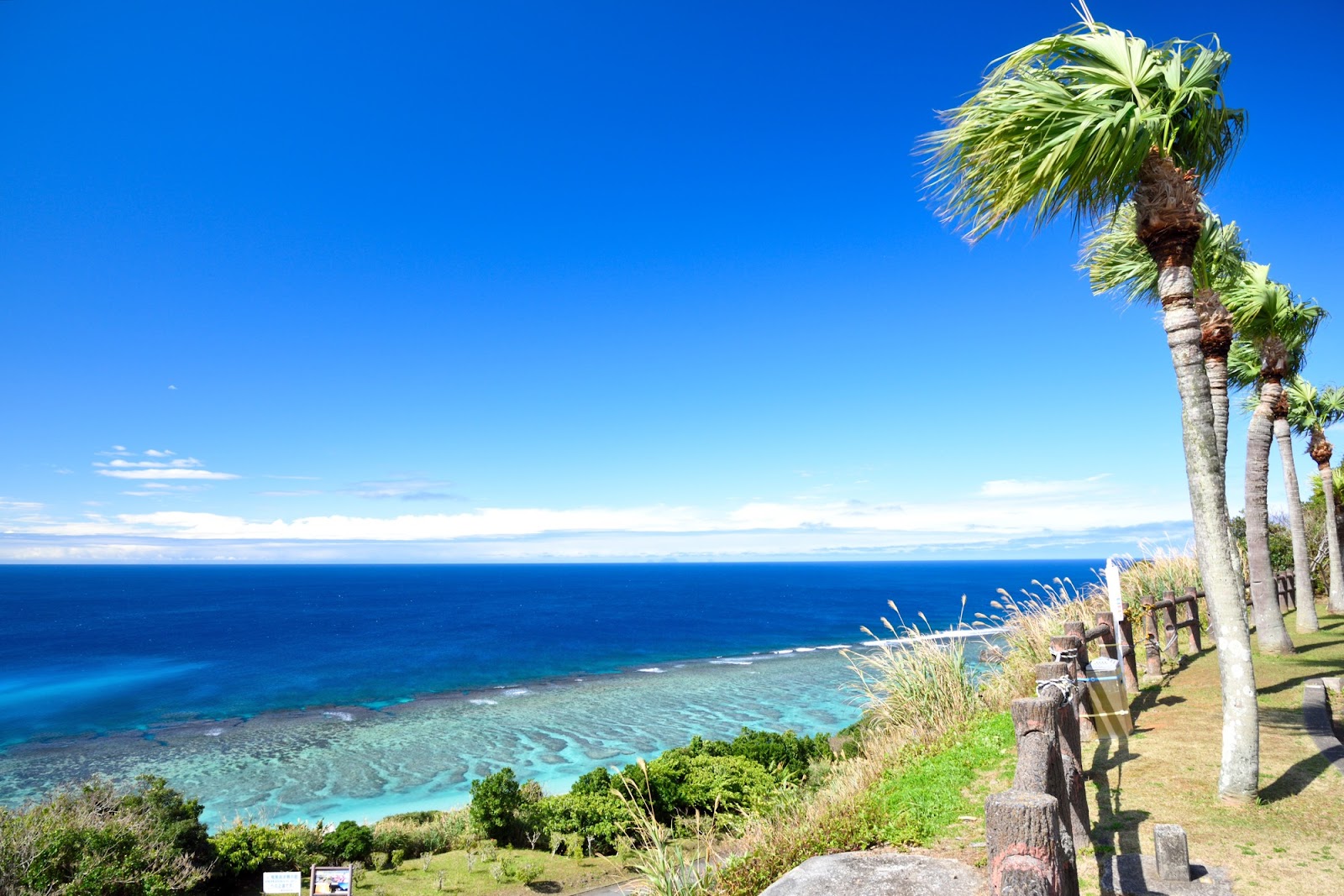 奄美大島・北部・外洋エリア 冬も寒くならないウミガメシュノーケルツアー 半日 or