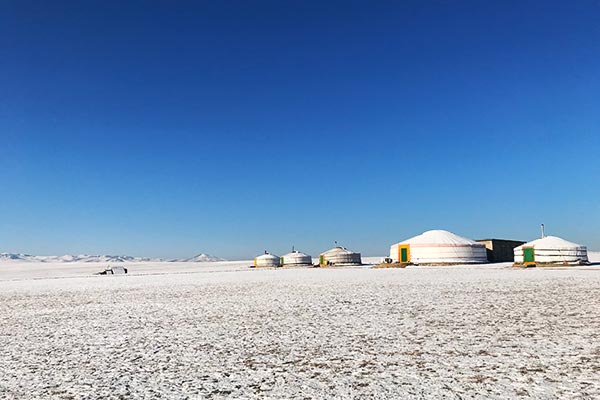 自宅のゲルで暮らすモンゴル研究者に聞いた、遊牧社会で生き抜くのに必要な力ほとんど0円大学