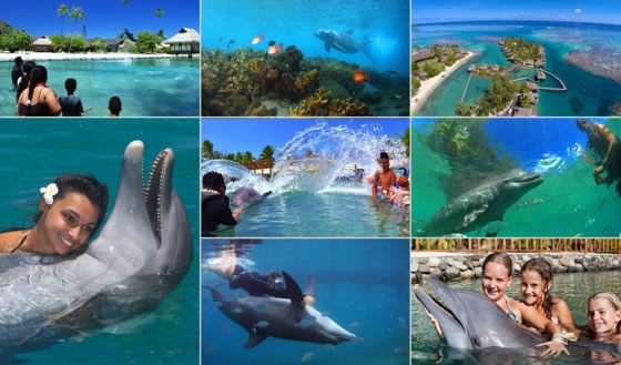 モーレア島Noa Noa Tahiti ノアノア