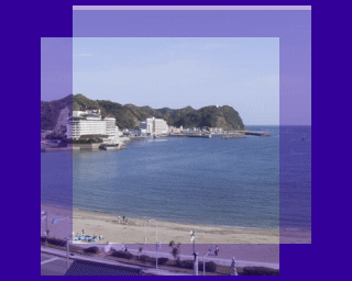 真亀海水浴場・九十九里浜のライブカメラ-千葉県九十九里町ライブカメラHUB