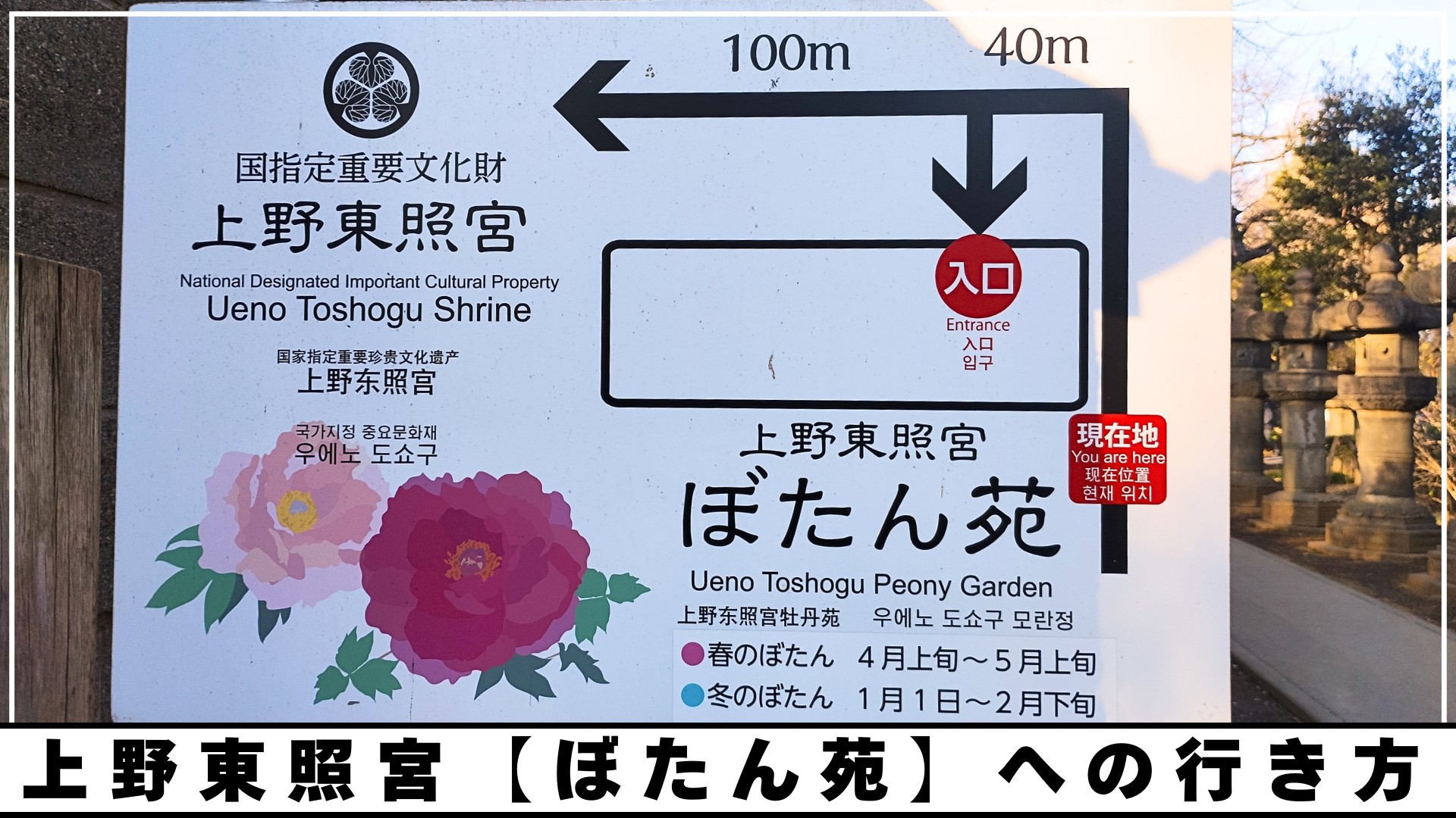 上野東照宮社殿 特別公開 10月6日 日 公開分Culture