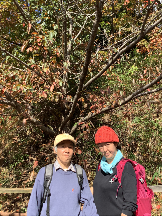 日本ユース旅行株式会社商品