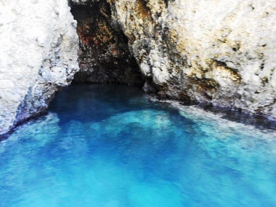 知床半島クルージング ルシャ湾のヒグマウォッチング