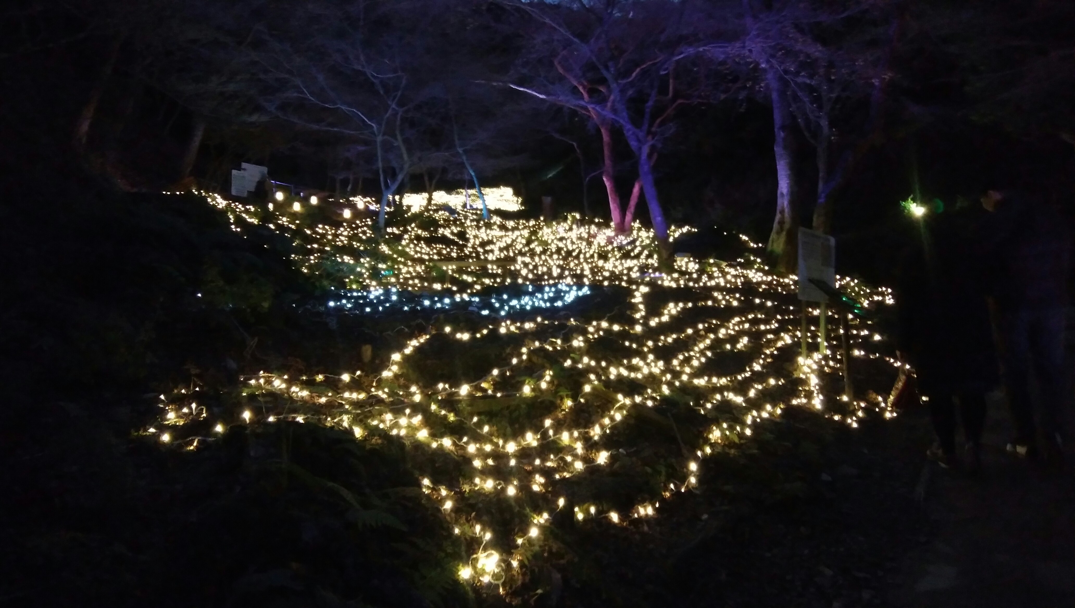 渡月橋近くの嵐山モンキーパークいわたやまはお猿さん達の可愛い姿と京都市街地の展望が楽しめる人気観光施設京都観光写真散歩