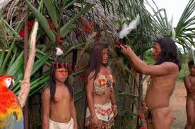 先住民族の生活特定非営利活動法人 熱帯森林保護団体 RFJ